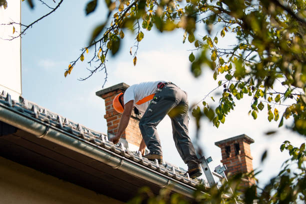 Best Commercial Roof Installation  in Chenoa, IL