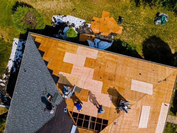Best Flat Roof Repair Services  in Chenoa, IL