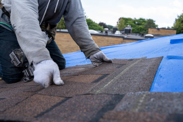 Best Storm Damage Roof Repair  in Chenoa, IL