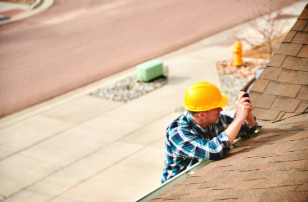 Roof Gutter Cleaning in Chenoa, IL