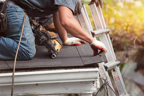 Best Flat Roof Repair Services  in Chenoa, IL