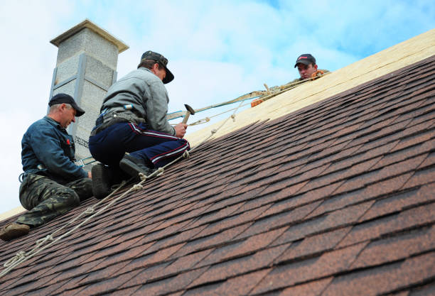 Residential Roof Replacement in Chenoa, IL